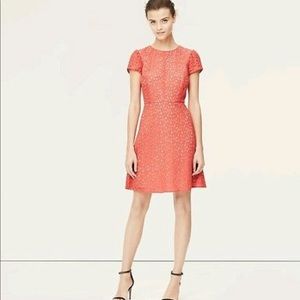 Coral lace Ann Taylor dress. Size 12